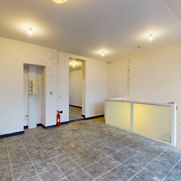 66093-PictHouse-extractions_05