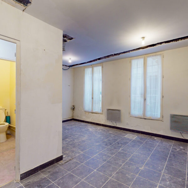 66093-PictHouse-extractions_06