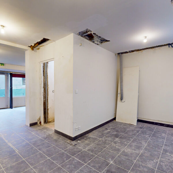 66093-PictHouse-extractions_07