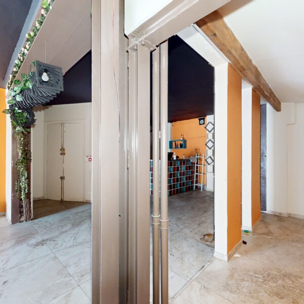 55369-extractions-06