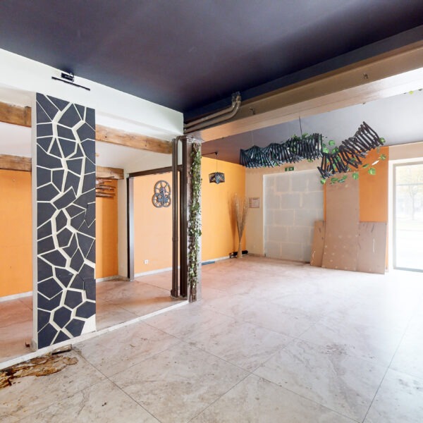 55369-extractions-07