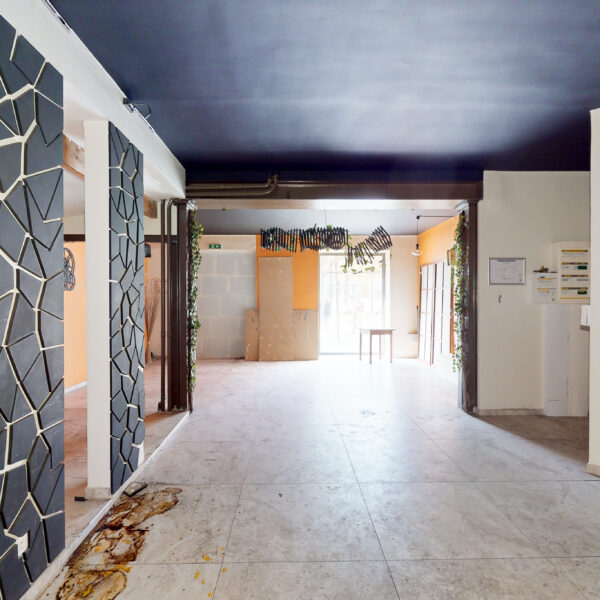 55369-extractions-08