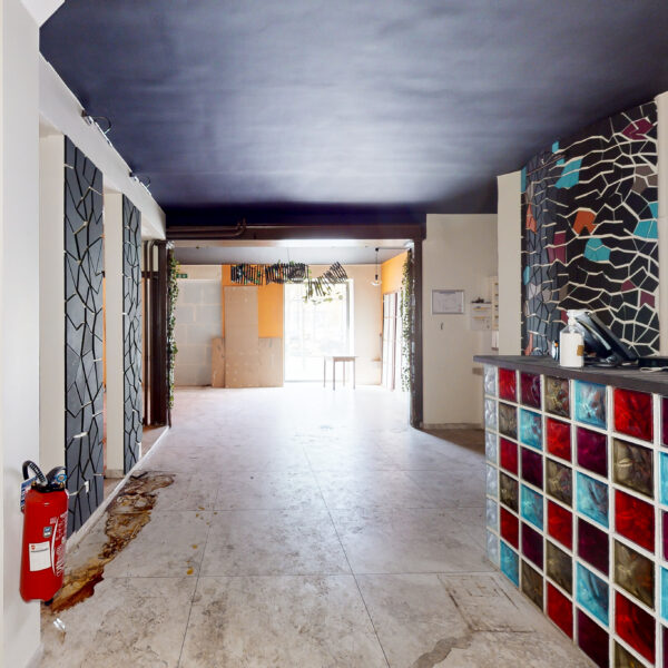 55369-extractions-13