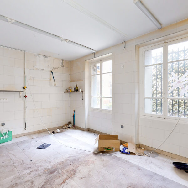 55369-extractions-16