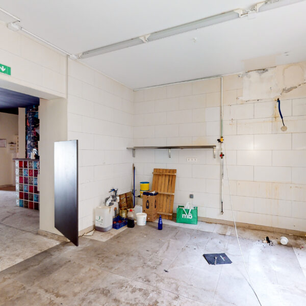 55369-extractions-17