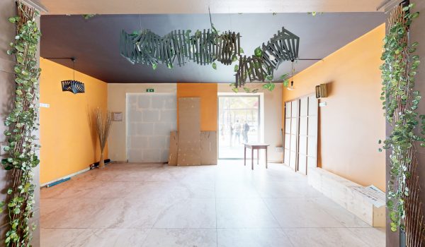 55369-extractions-04